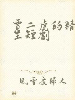 贾二虎的精彩人生短剧