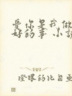 爱你是我做过最好的事 小说