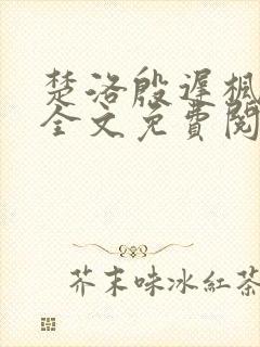 楚洛殷迟枫小说全文免费阅读