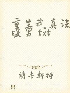 重生我真没想当暖男 txt