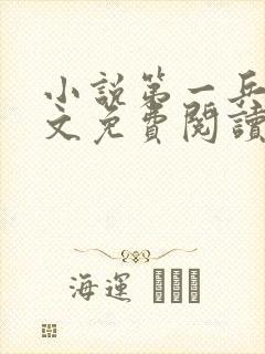 小说第一兵王全文免费阅读