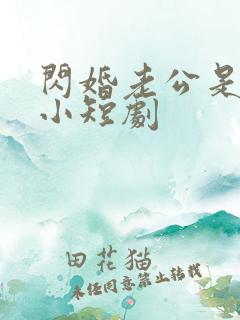 闪婚老公是豪门小短剧