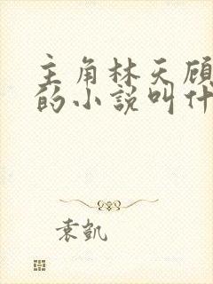 主角林天顾悦瑶的小说叫什么