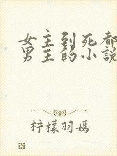 女主到死都不爱男主的小说
