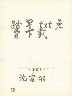 踏星 txt免费下载