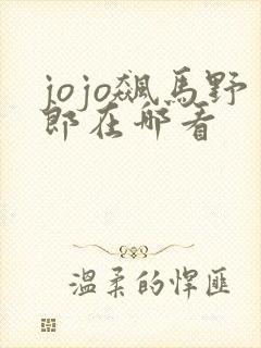 jojo飙马野郎在哪看