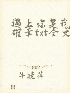 遇上你是我的小确幸txt全文下载