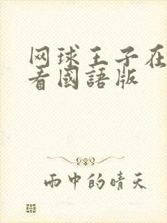 网球王子在线观看国语版