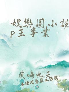 娱乐圈小说无cp主事业