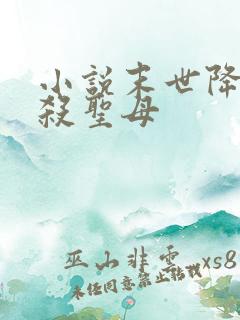 小说末世降临先杀圣母