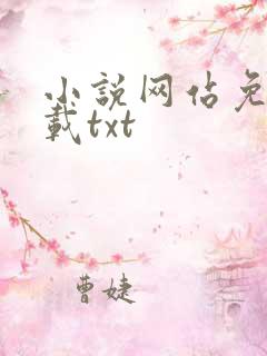 小说网站免费下载txt
