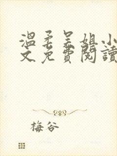 温柔吴姐小说全文免费阅读最新章节