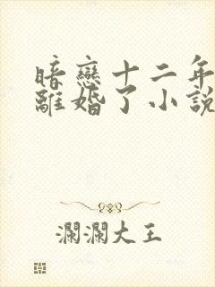 暗恋十二年的他离婚了小说