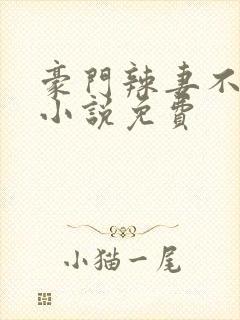 豪门辣妻不好惹小说免费