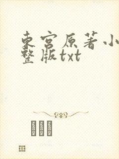 东宫原著小说完整版txt