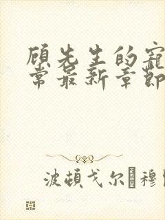 顾先生的宠妻日常最新章节免费阅读