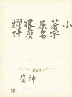 耀眼原著小说叫什么名字