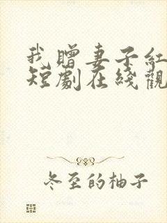 我赠妻子红缨枪短剧在线观看全集免费