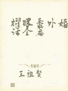 耀眼番外婚后生活全篇