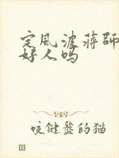 定风波蒋师兄是好人吗