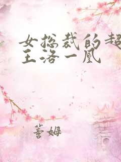 女总裁的超级兵王洛一凰