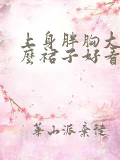 上身胖胸大穿什么裙子好看