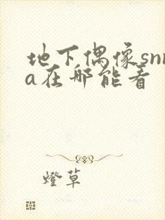 地下偶像snna在哪能看
