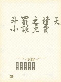 斗罗之靖天斗罗小说免费