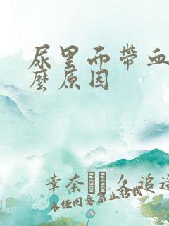 尿里面带血是什么原因