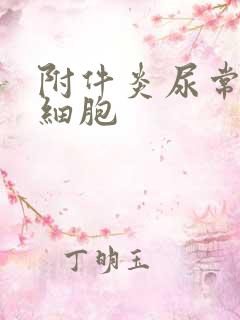 附件炎尿常规白细胞