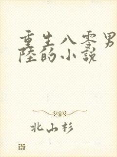 重生八零男主姓陆的小说