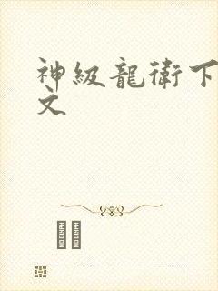 神级龙卫下载全文