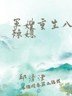 军嫂重生八零小辣媳