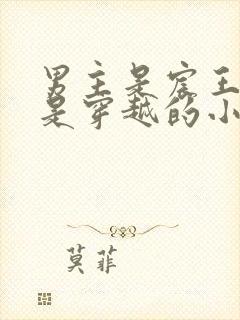 男主是宸王女主是穿越的小说