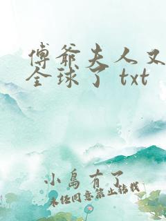 傅爷夫人又惊艳全球了 txt