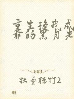 重生后我成了王爷的黑月光连载