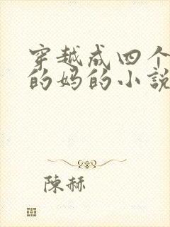 穿越成四个孩子的妈的小说