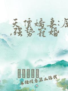 天价娇妻:厉少,强势宠婚