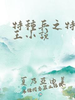 特种兵之特战兵王小说