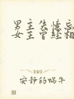 男主失忆忘记与女主曾经相爱