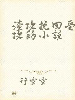 渣攻挽回受被反攻的小说