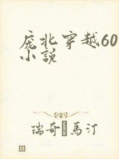 庞北穿越60年小说