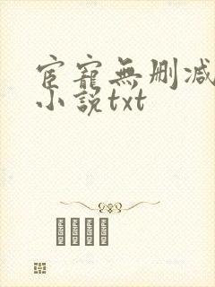 宦宠无删减原著小说txt