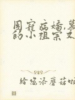 团宠病娇,慕少的小祖宗又凶又撩小说下载