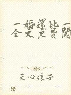 一婚还比一婚高全文免费阅读