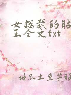 女总裁的贴身兵王全文txt