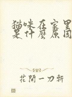 猫咪在家里乱尿是什么原因