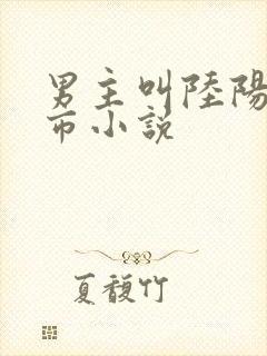 男主叫陆阳的都市小说