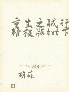 重生之贼行天下精校版txt下载
