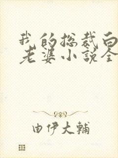 我的总裁白富美老婆小说全文在线阅读